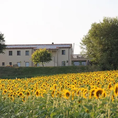 Apartamento Monolocale Family Ceresà *