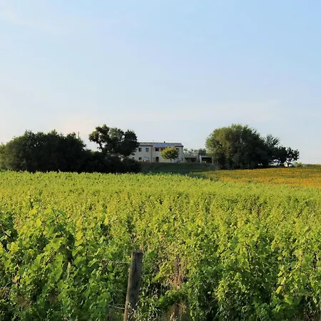 Monolocale Family Ceresa Apartment
